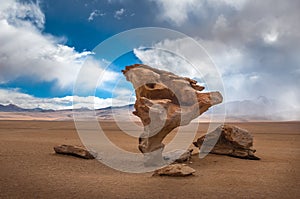 Arbol de piedra, stone tree, Bolivia photo