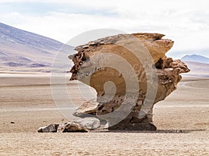 Arbol de Piedra (stone tree) is an isolated rock formation in Bo