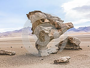 Arbol de Piedra (stone tree) is an isolated rock formation in Bo photo