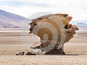 Arbol de Piedra (stone tree) is an isolated rock formation in Bo photo