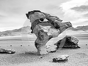 Arbol de Piedra (stone tree) is an isolated rock formation in Bolivia