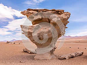 The `Arbol de Piedra ` stone tree is an isolated rock formation in Bolivia