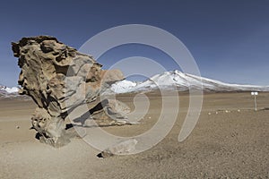 Arbol de Piedra Stone tree is an isolated rock formation in th