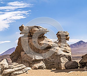 Arbol de Piedra (stone tree) is an rock formation in Bo