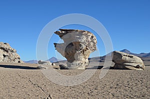 The Arbol de Piedra stone tree, a rock formation in the Eduardo Avaroa Andean Fauna National Reserve in Southern Bolivia