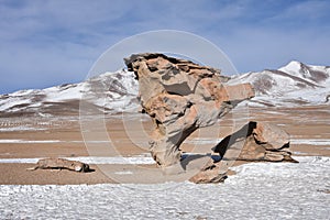 The Arbol de Piedra Stone Tree, in the Siloli Desert, Sud Lipez Province, Uyuni, Bolivia