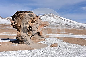 The Arbol de Piedra Stone Tree, in the Siloli Desert, Sud Lipez Province, Uyuni, Bolivia