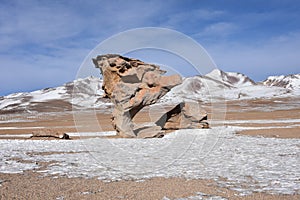 The Arbol de Piedra Stone Tree, in the Siloli Desert, Sud Lipez Province, Uyuni, Bolivia