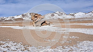 The Arbol de Piedra Stone Tree, in the Siloli Desert, Sud Lipez Province, Uyuni, Bolivia