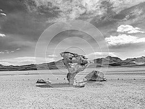 Arbol de Piedra tree of rock, the famous stone tree rock formation created by wind, in the Siloli desert in Bolivia