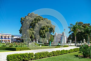 Arbol del Tule, a giant sacred tree in Tule, Oaxaca