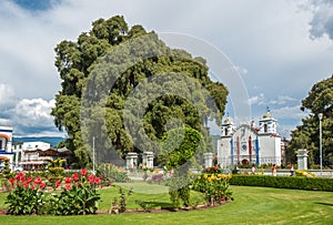 Arbol del Tule, a giant sacred tree in Tule, Oaxaca, Mexico