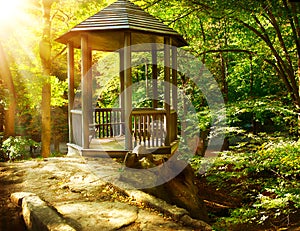 Arbor in Autumnal Park