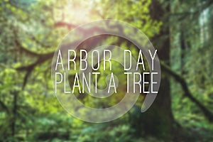 Arbor Day plant a tree mockup with forest
