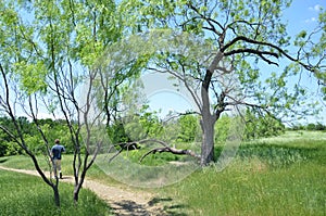 Arbor Hills Nature Preserve