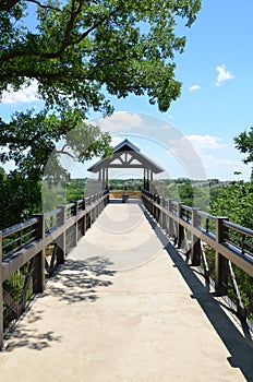 Arbor Hills Nature Preserve photo