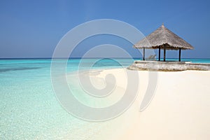 Arbor on Maldives beach