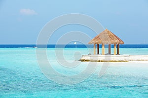 Arbor on Maldives beach