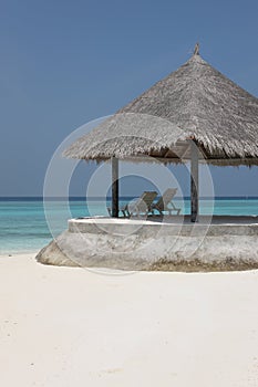 Arbor on Maldives beach