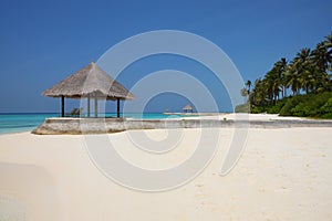 Arbor on Maldives beach