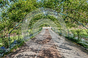 Arbor At Point Defiance