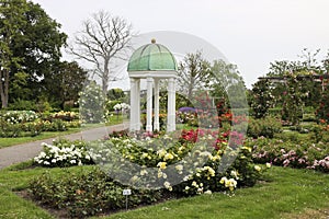 Arbor in the Rosarium Guldenmondplantsoen in Boskoop