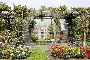 Arbor in the Rosarium Guldenmondplantsoen in Boskoop