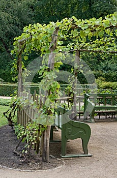 Arbor shading garden benches photo