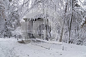 Arbor in the snowy park
