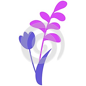 2d illustration of pink tulip leaf branch
