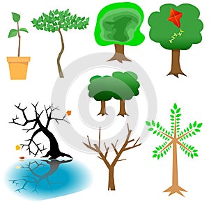 Arboreal Elements - Tree Icons