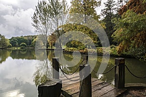 Arboretum in autumn colors, very beautiful leaves and landscape