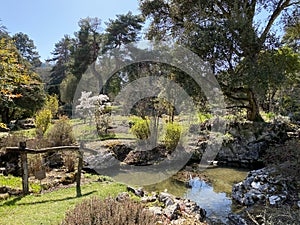 Arboretum, Conservatory and Botanical Garden of the City of Geneva Conservatoire et Jardin botaniques de la Ville de GenÃÂ¨ve