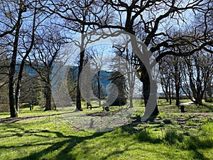 Arboretum, Conservatory and Botanical Garden of the City of Geneva Conservatoire et Jardin Botaniques de la Ville de GenÃ¨ve