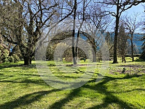 Arboretum, Conservatory and Botanical Garden of the City of Geneva Conservatoire et Jardin Botaniques de la Ville de GenÃ¨ve