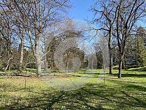 Arboretum, Conservatory and Botanical Garden of the City of Geneva Conservatoire et Jardin Botaniques de la Ville de GenÃ¨ve