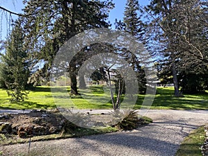 Arboretum, Conservatory and Botanical Garden of the City of Geneva Conservatoire et Jardin Botaniques de la Ville de GenÃ¨ve