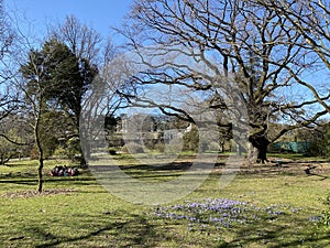 Arboretum, Conservatory and Botanical Garden of the City of Geneva Conservatoire et Jardin Botaniques de la Ville de GenÃ¨ve