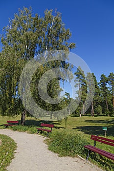 Arboretum Oleksandriya.  Oleksandriya  park.  Bila Tserkva city. Ukraine