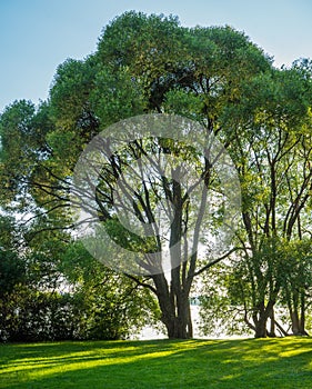 Arboretum in Tampere