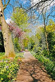 Arboretum Trompenburg Rotterdam