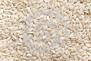 Arborio rice