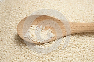 Arborio Rice with Spoon