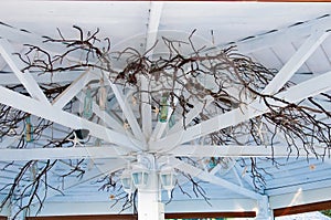 Arbour ceiling