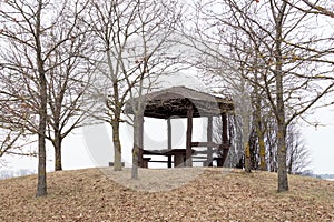 Arbour in the spring or winter time