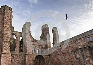 Arbroath Abbey Ruins in Scotland.