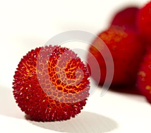 Arbutus fruit photo