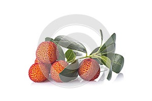 Arbutus unedo fruits isolated on a white background