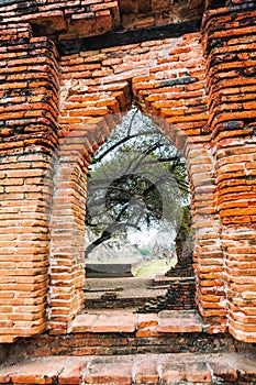 Arc of Wat Mahathat in Buddhist temple complex in Ayutthaya near Bangkok. Thailand