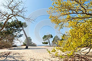 Arcachon Bay, France. Access to the beach in Ares, near Andernos
